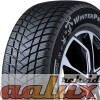 100A4924 Winterpro 2 (EVO)  